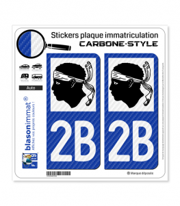 2 stickers pour plaque d'immatriculation Auto, 2B Corse NOIR - Stickers  pour plaques d'immatriculation/AUTO Corse - The Little Boutique