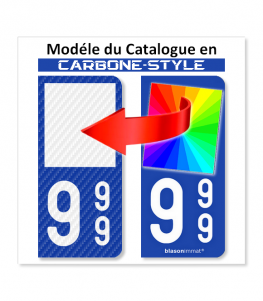 2 Stickers autocollants plaque immatriculation 84 Région Sud - LT  Carbone-Style